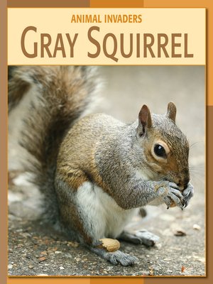 cover image of Gray Squirrel